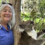  Powell Koala, Cleland Wildlife Park, SA.12